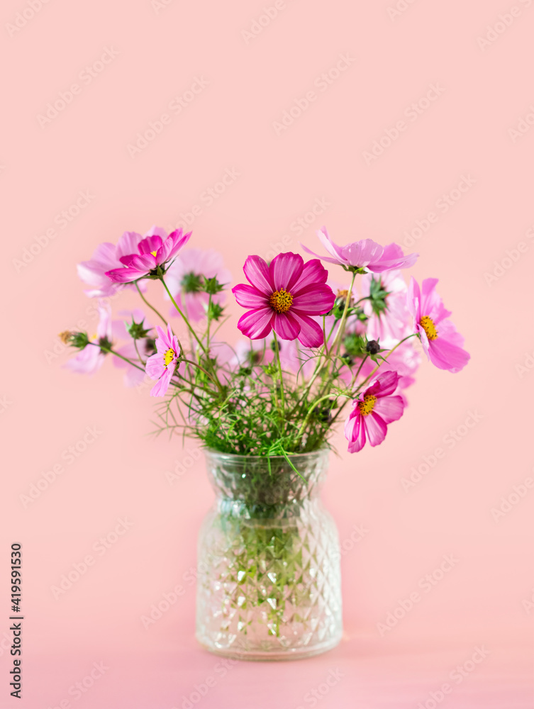 Fresh summer bouquet of pink cosmos flowers on pink background. Floral home decor.