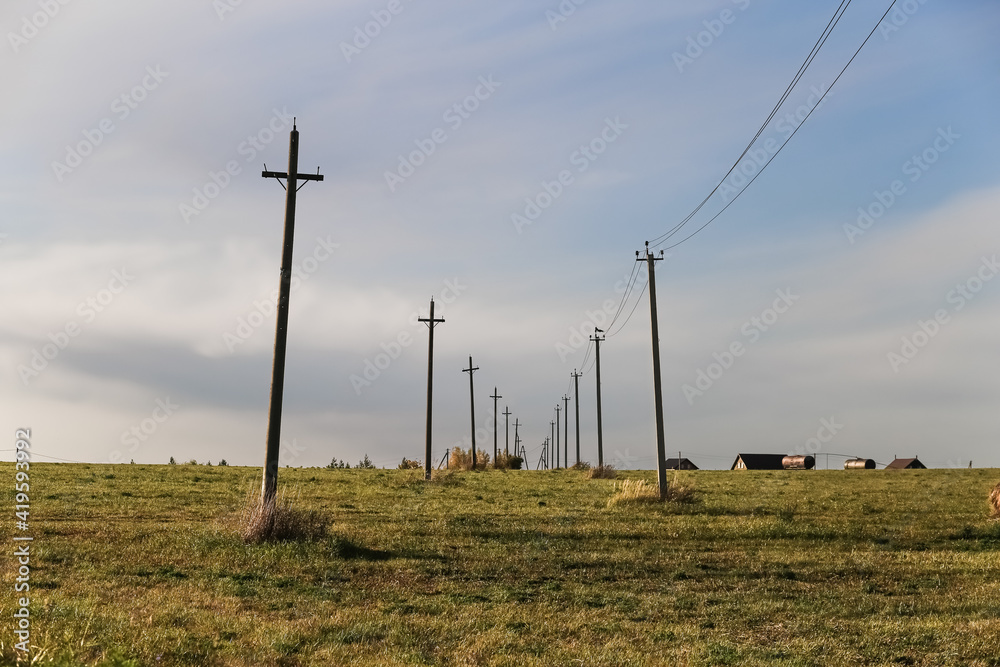 Obraz premium Countryside natural beauty forest field