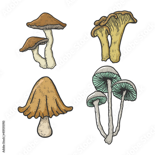 Mushroom set color sketch engraving vector illustration. T-shirt apparel print design. Scratch board style imitation. Black and white hand drawn image.