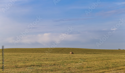 Countryside natural beauty forest field