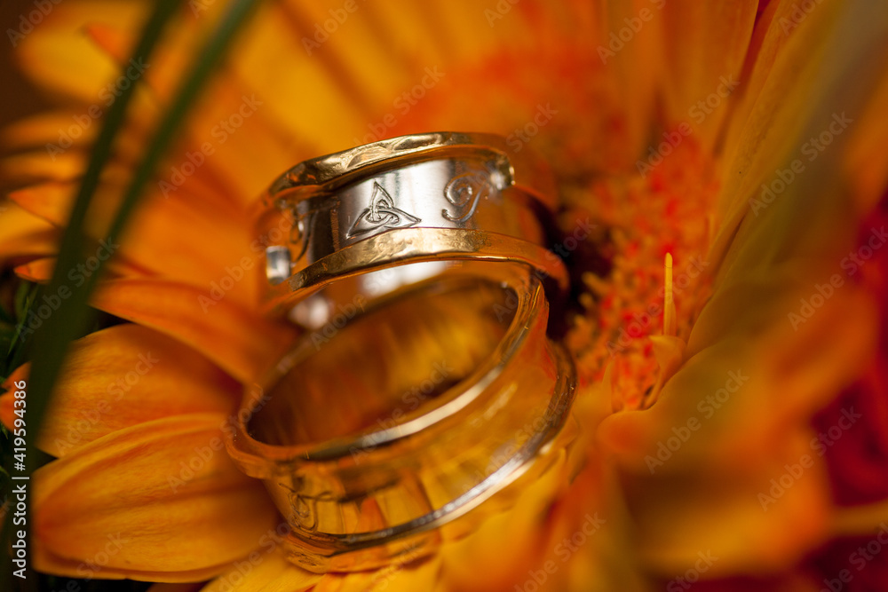 Wedding rings on a bright orange gerbera flower. High quality photo