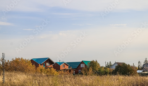 Countryside natural beauty forest field