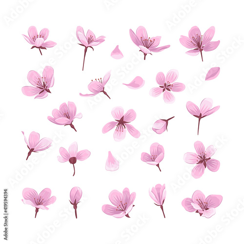 Fototapeta Naklejka Na Ścianę i Meble -  Pink cherry blossom flowers isolated on white background. Gentle spring blooming flowers collection for your design.