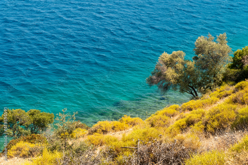 Summer concept: Sea view to blue turquoise waters from a sharp cliff with trees and herbage