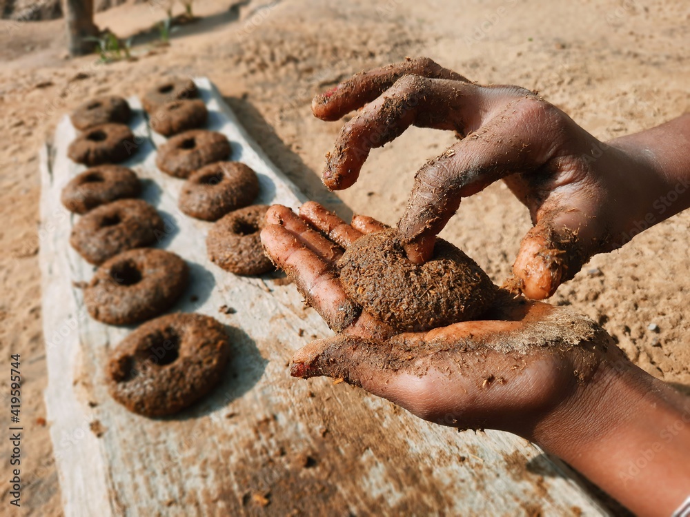 Cow Dung cow-dung