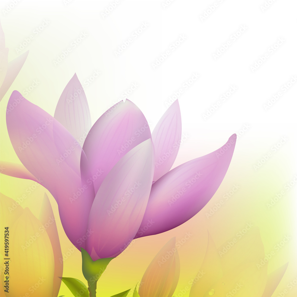 Fototapeta premium Abstract Magnolia, Vector Illustration