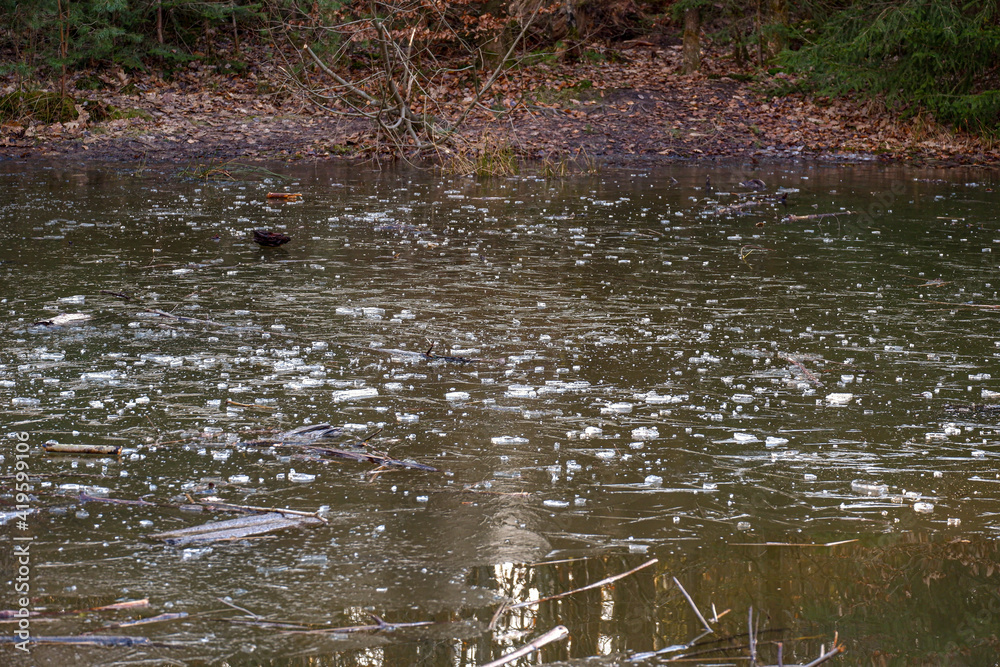Spiegelung der Bäume in einem kleinen Teich im Wald Spiegelung der Bäume in einem kleinen Teich im Wald