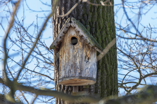 A birdhouse on a tree in spring in a park on Elagin Island in St. Petersburg.