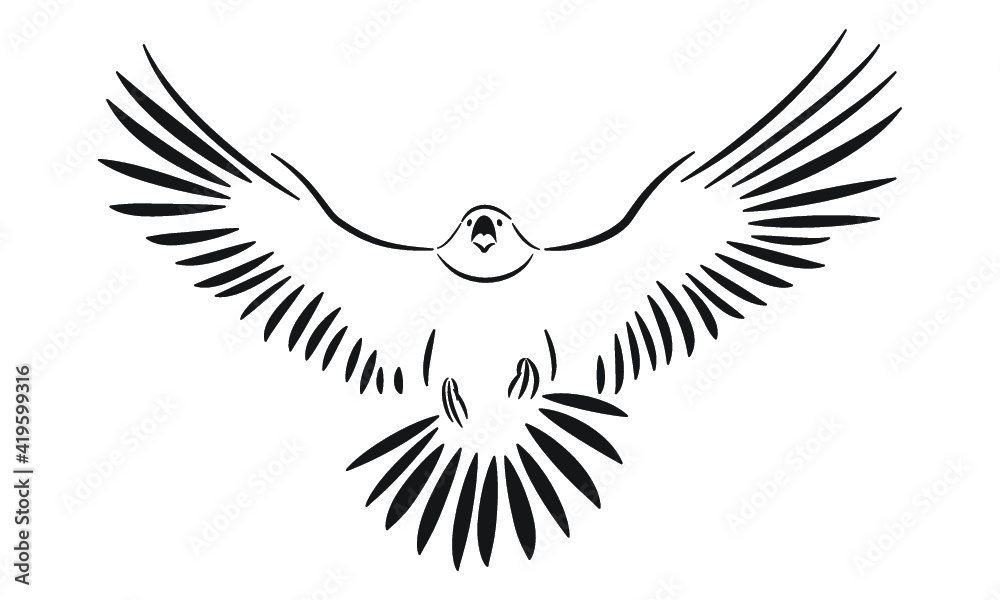 Fototapeta premium Falcon line art