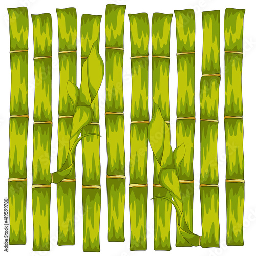 Bamboo forest background. Cartoon style vector illustration.