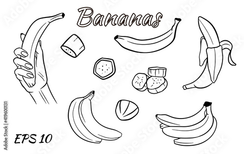 Vector set of bananas. Banana in hand, banana slices, bananas in a bunch.