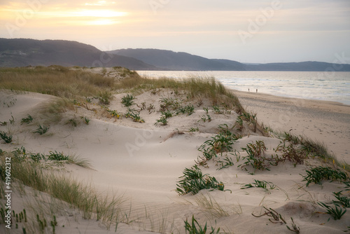 Fototapeta Naklejka Na Ścianę i Meble -  Baldaio beach dunes at sunset. Carballo, Galicia, Spain