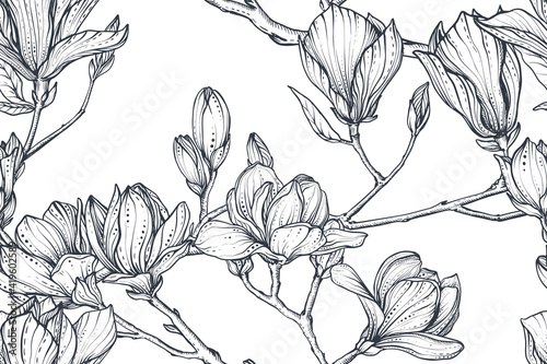 Vector floral seamless pattern of magnolia branches. Romantic elegant endless background