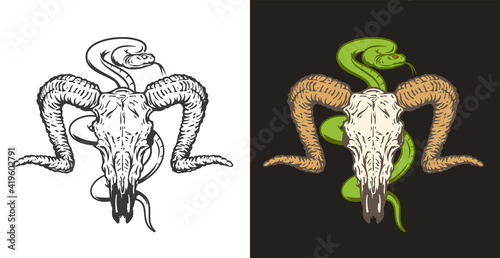 Hand drawn monochrome and color goat skull with poison snake isolated on simple background. Realistic design art composition for print, tattoo. Retro vintage vector illustration.