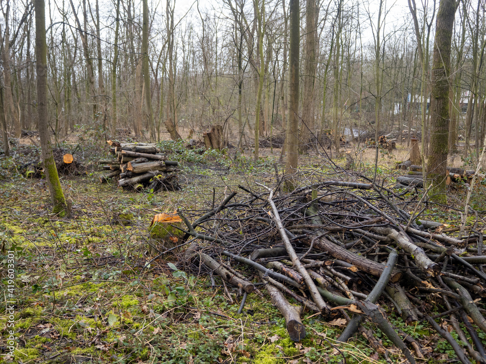 Holz Schäden nach Unwetter nass