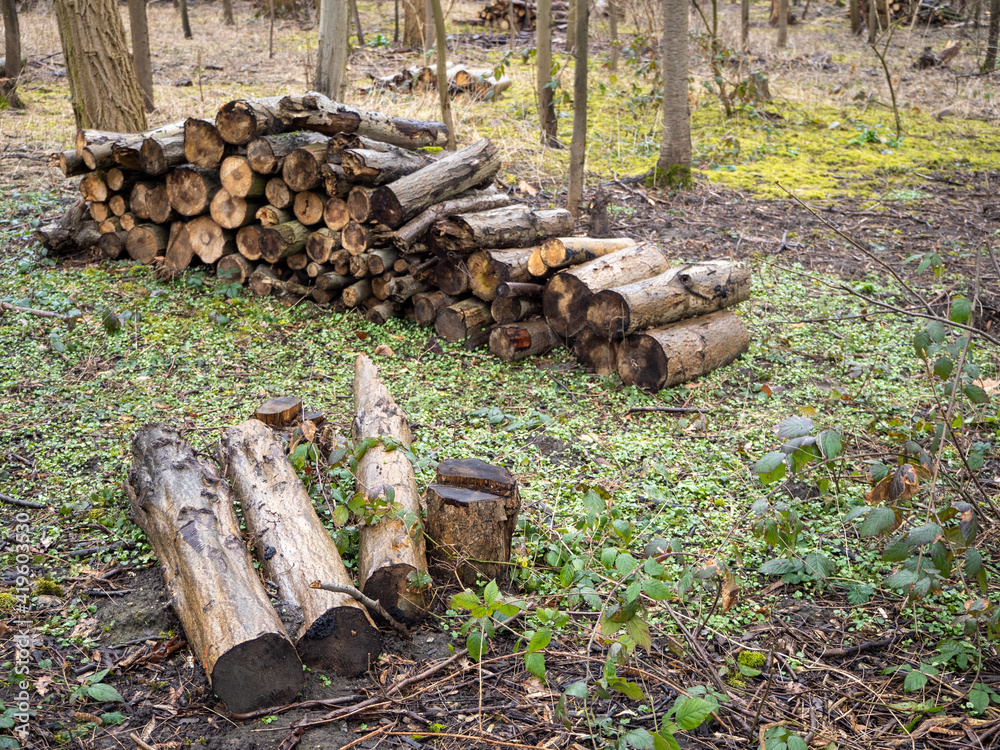 Holz Schäden nach Unwetter nass Holz Schäden nach Unwetter nass