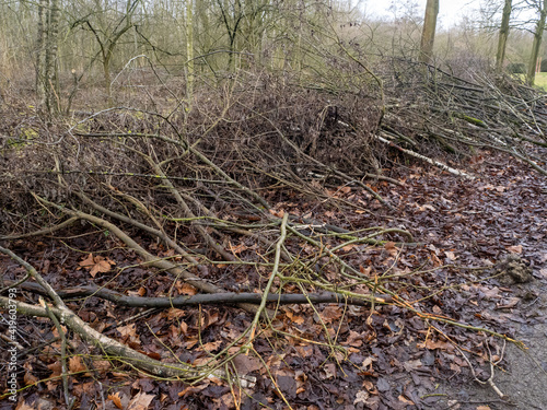 Holz Schäden nach Unwetter nass