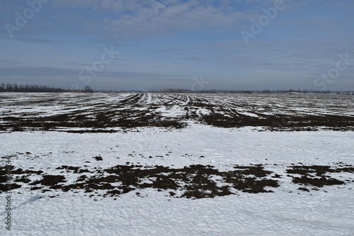 Winter landscape, field, sky. © Михаил Д