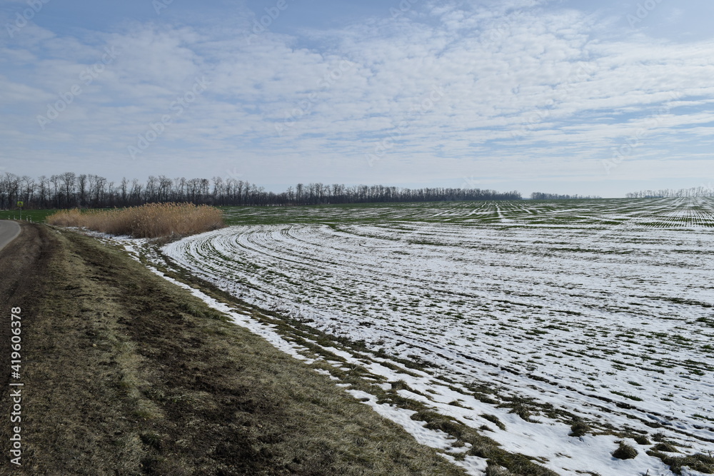 Winter landscape, field, sky.