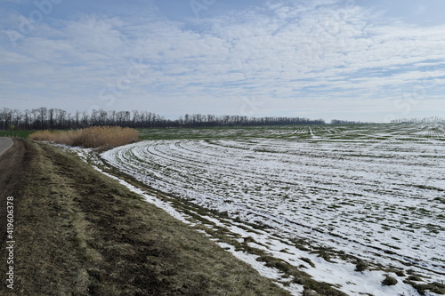 Winter landscape  field  sky.