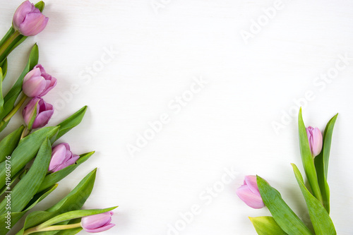Fototapeta Naklejka Na Ścianę i Meble -  Tulips on a white background. Festive floral concept with clean text space. Flat lay. View from above.