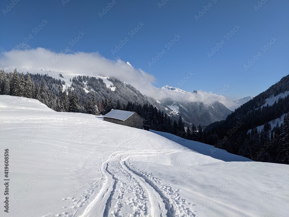Obraz premium SKIMO - Ski Mountaineering, Ski tours in the Glarus region. Pure winter landscape with snowy trees with the ascent trail and blue sky. Winter Sport