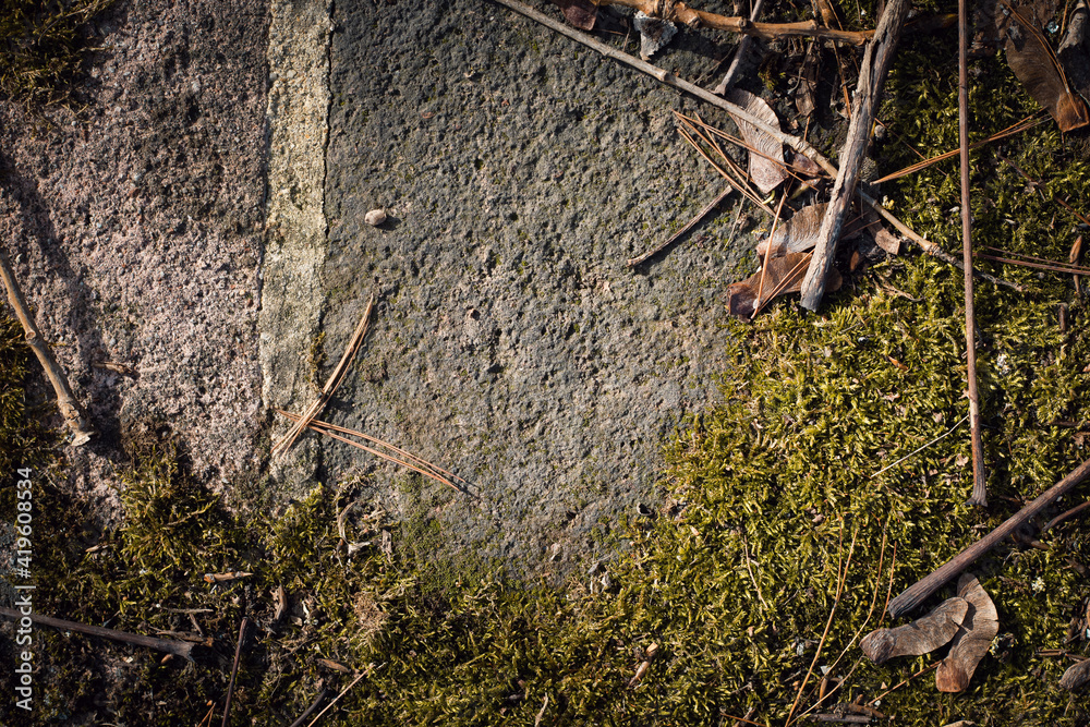 Ground backdrop. Nature and concrete.