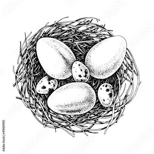 Hand drawn eggs and nests. Easter element
