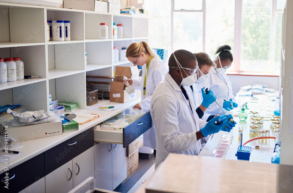 Fotografie Group of diverse technicians analyzing samples in a lab