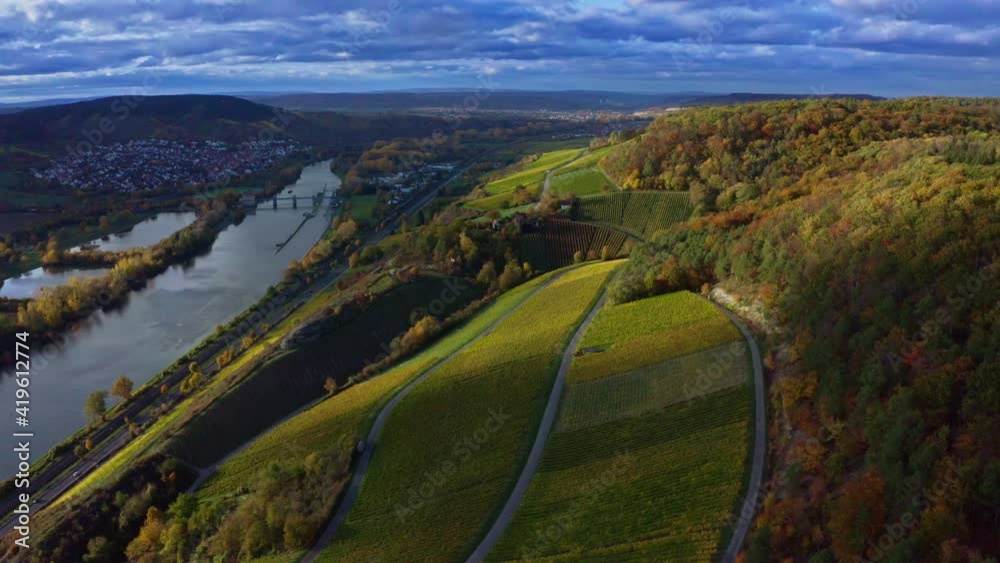 Aerial drone view of vineyard and river. Autumn view. Germany. Mainfranken Aerial drone view of vineyard and river. Autumn view. Germany. Mainfranken