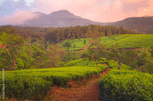 Landscape countryside view of Sri Lankan hill country  and terraced tea plantation in Nuwara Eliya village  Sri Lanka with a dramatic  colourful sunset or sunrise sky.
