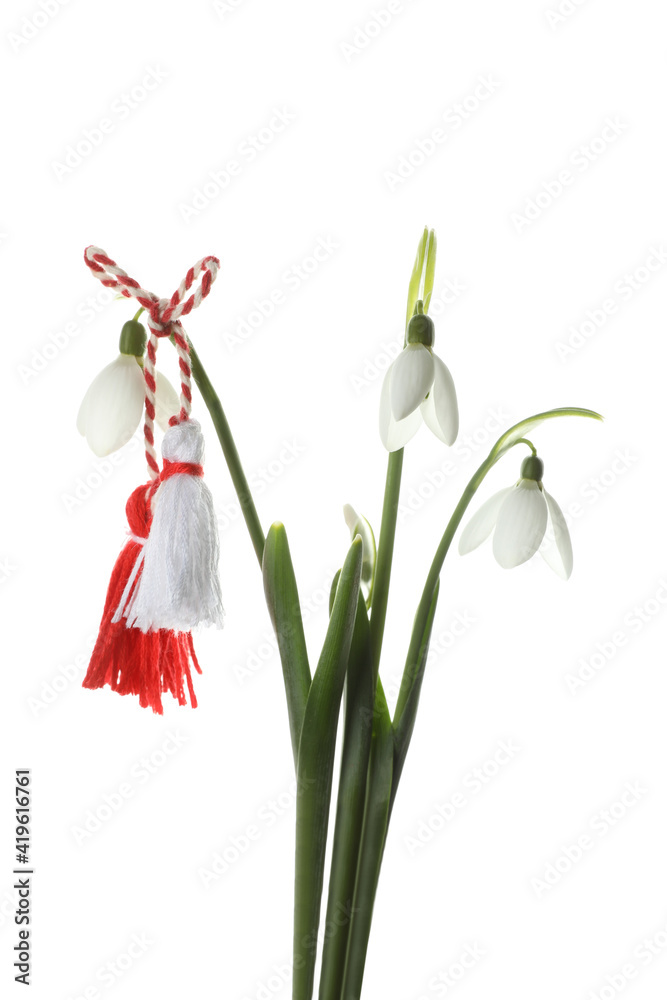 Beautiful snowdrops with traditional martisor on white background. Symbol of first spring day