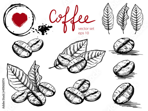 Set of coffee beans and leaves in a graphic style. Separate elements on a transparent background. For the design of coffee shops and restaurants.