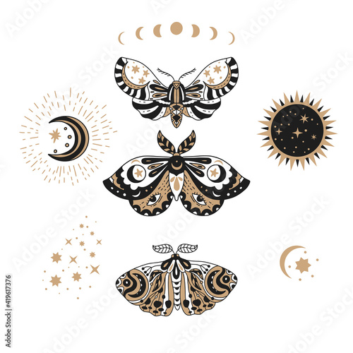 Design butterfly nature isolated insect vector art. Spring boho bohemian moth set. Celestial collection.