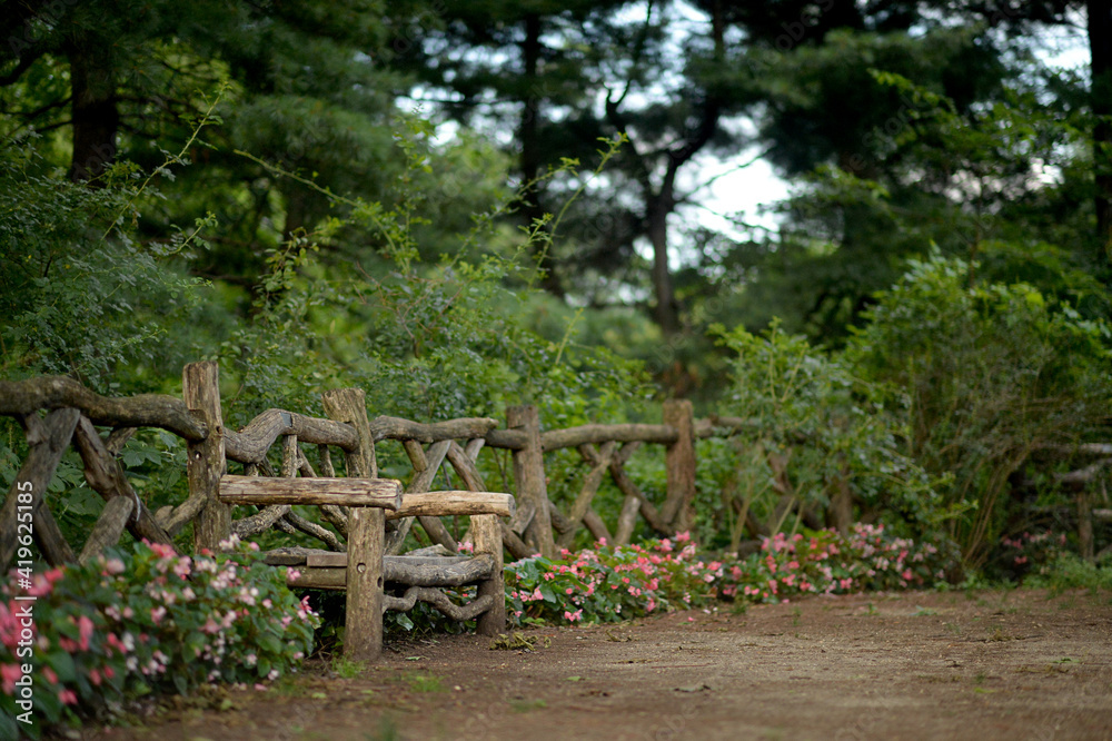 wooden bench in beautiful park, in summer wooden bench in beautiful park, in summer