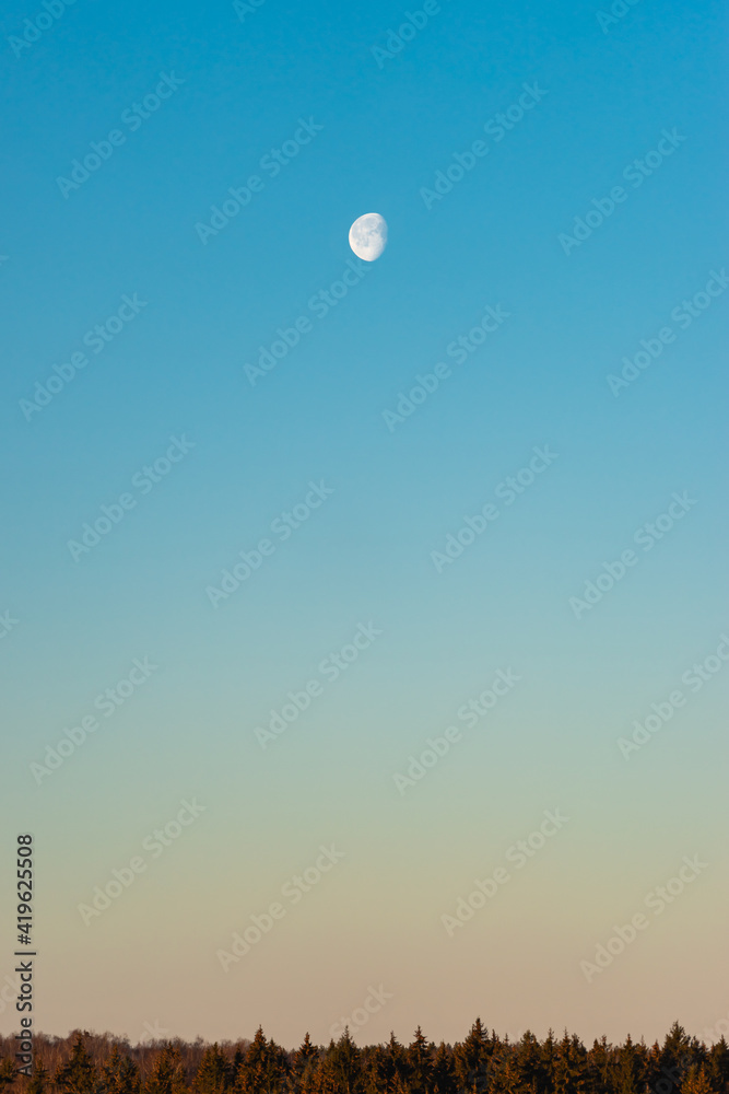 Moon on blue sky above forest horizon in the morning Moon on blue sky above forest horizon in the morning