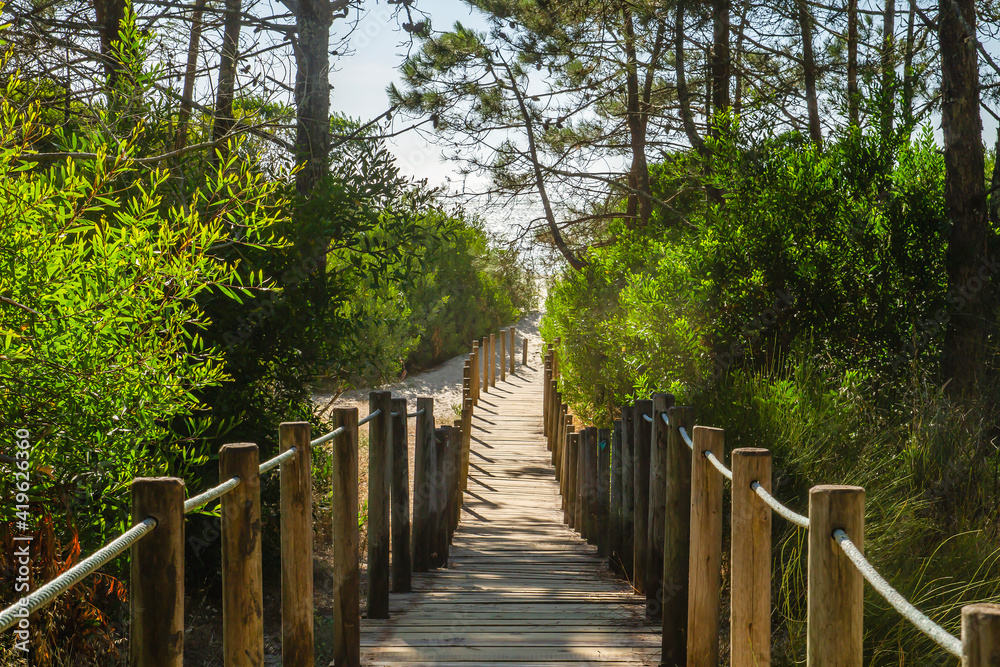 Wooden footbridge leading to the beach across the dunes in protected area Wooden footbridge leading to the beach across the dunes in protected area