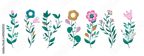 Colourful vector flowers - Set of flower illustrations on white background.