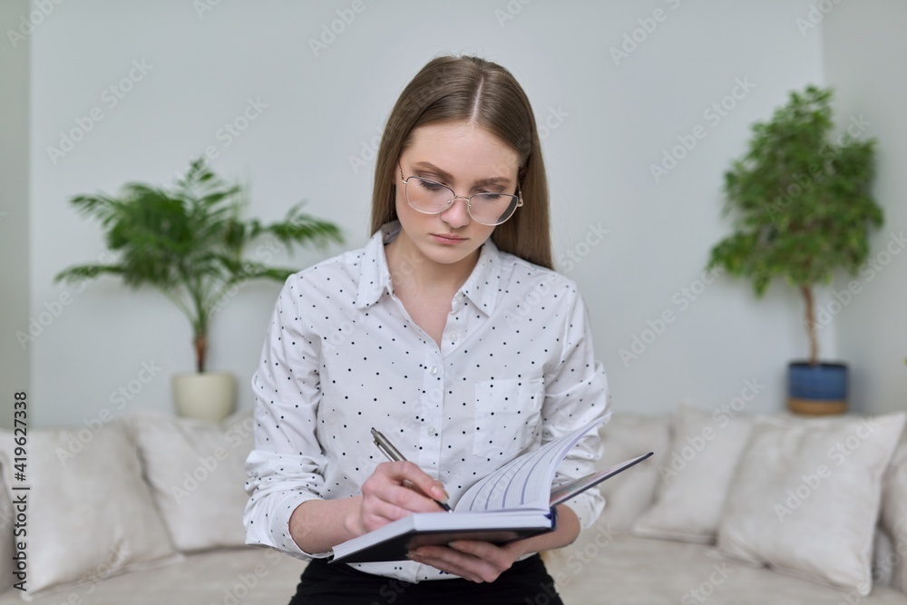 Young businesswoman with business notebook looking at webcam Young businesswoman with business notebook looking at webcam