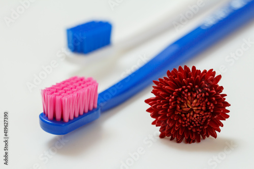 White and blue toothbrushes on the white background.