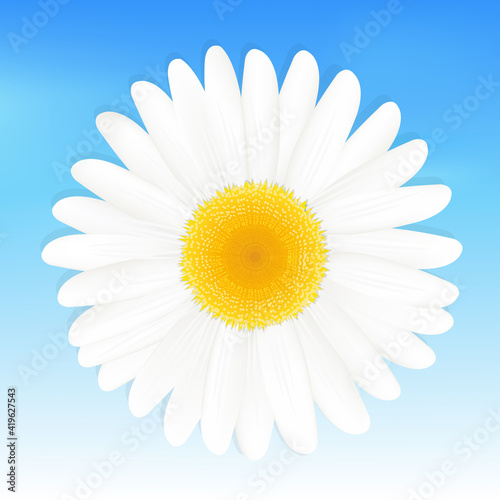 One Daisy Against Blue Sky, Vector Illustration