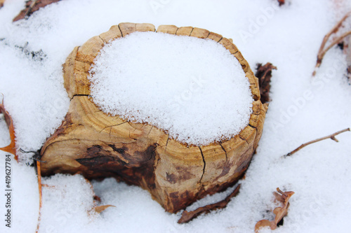 stump with snow