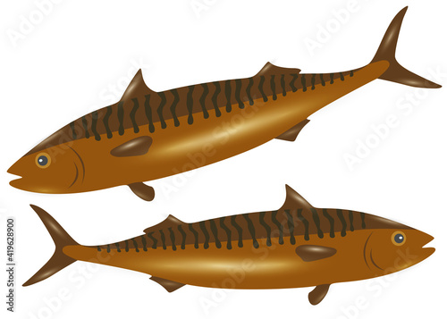 Smoked mackerel in the set. Vector image.
