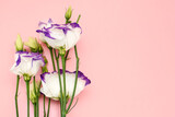 Floral romantic composition. Spring flowers on a pastel background. Top view, copy space