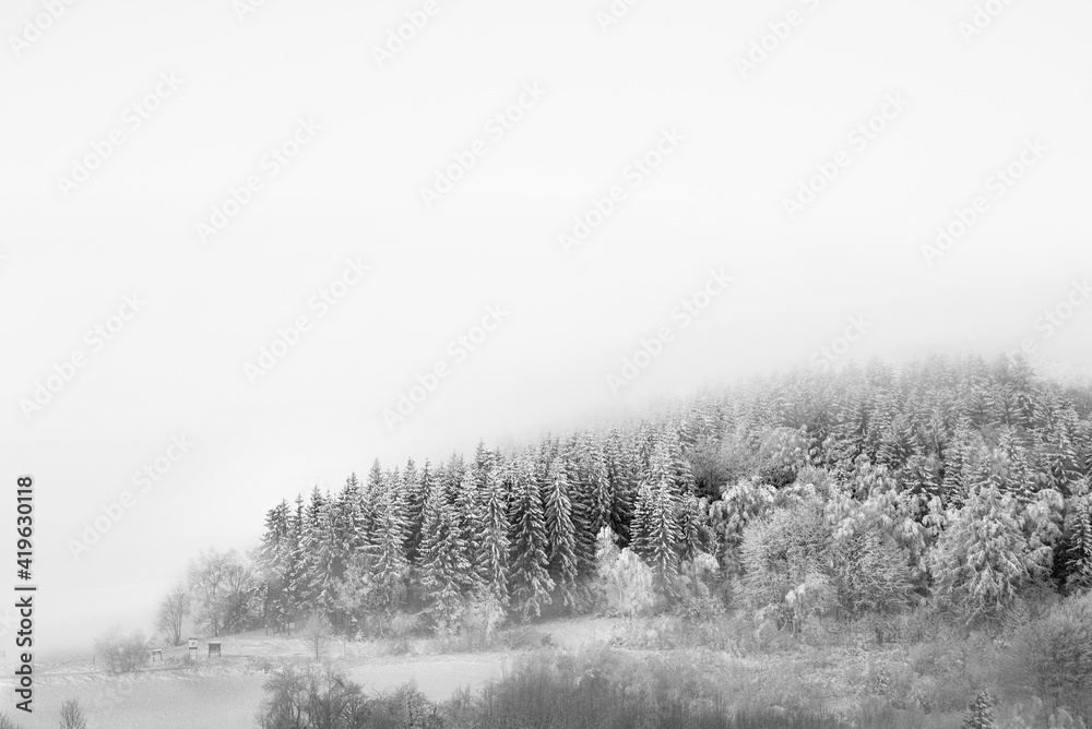 zima las góry śnieg - obrazy, fototapety, plakaty 