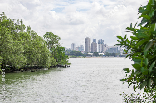 The Mangrove Forest and Sea view in Sungei Buloh Wetland Reserve Singapore, an important stop-over point for migratory birds. 
The background is the buildings of JOHOR BAHRU Malaysia. photo