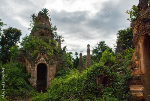 Temples on the side of the Inle Lake taken over by nature, Myanmar (Burma), South-East Asia © Michel