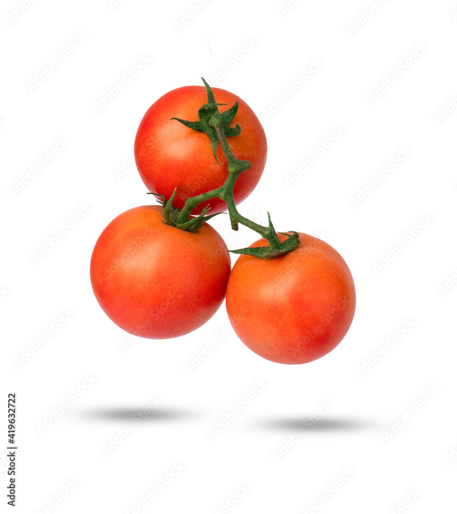 Tomatoes on the vine isolated on white background Tomatoes on the vine isolated on white background