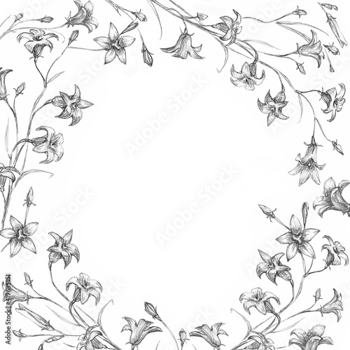 Wallpaper Mural Round frame of Bell flowers. Round frame with forest flowers. Vintage botanical illustration. The illustration is made in black pencil.  Torontodigital.ca