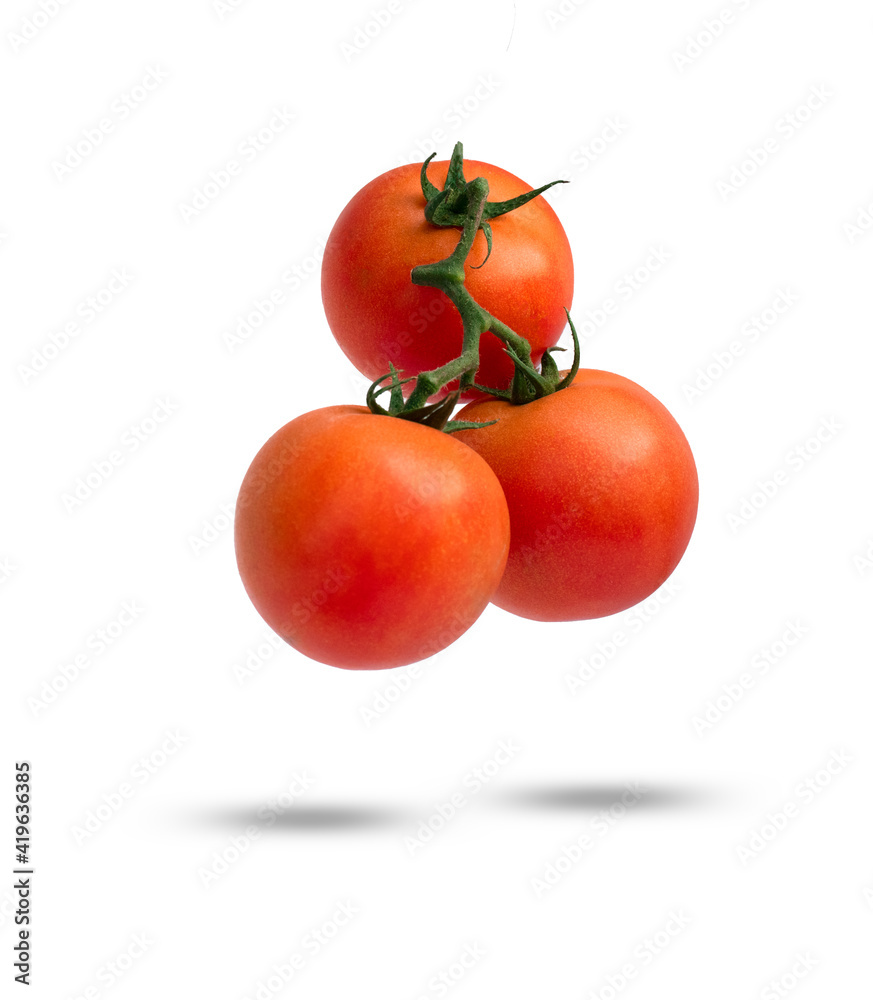 Tomatoes on the vine isolated on white background Tomatoes on the vine isolated on white background